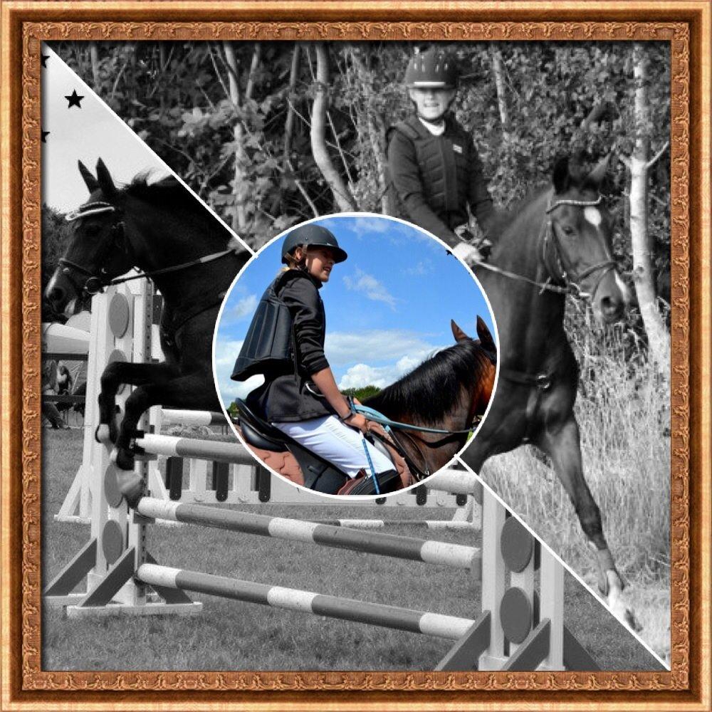 New Forest nicky billede 13