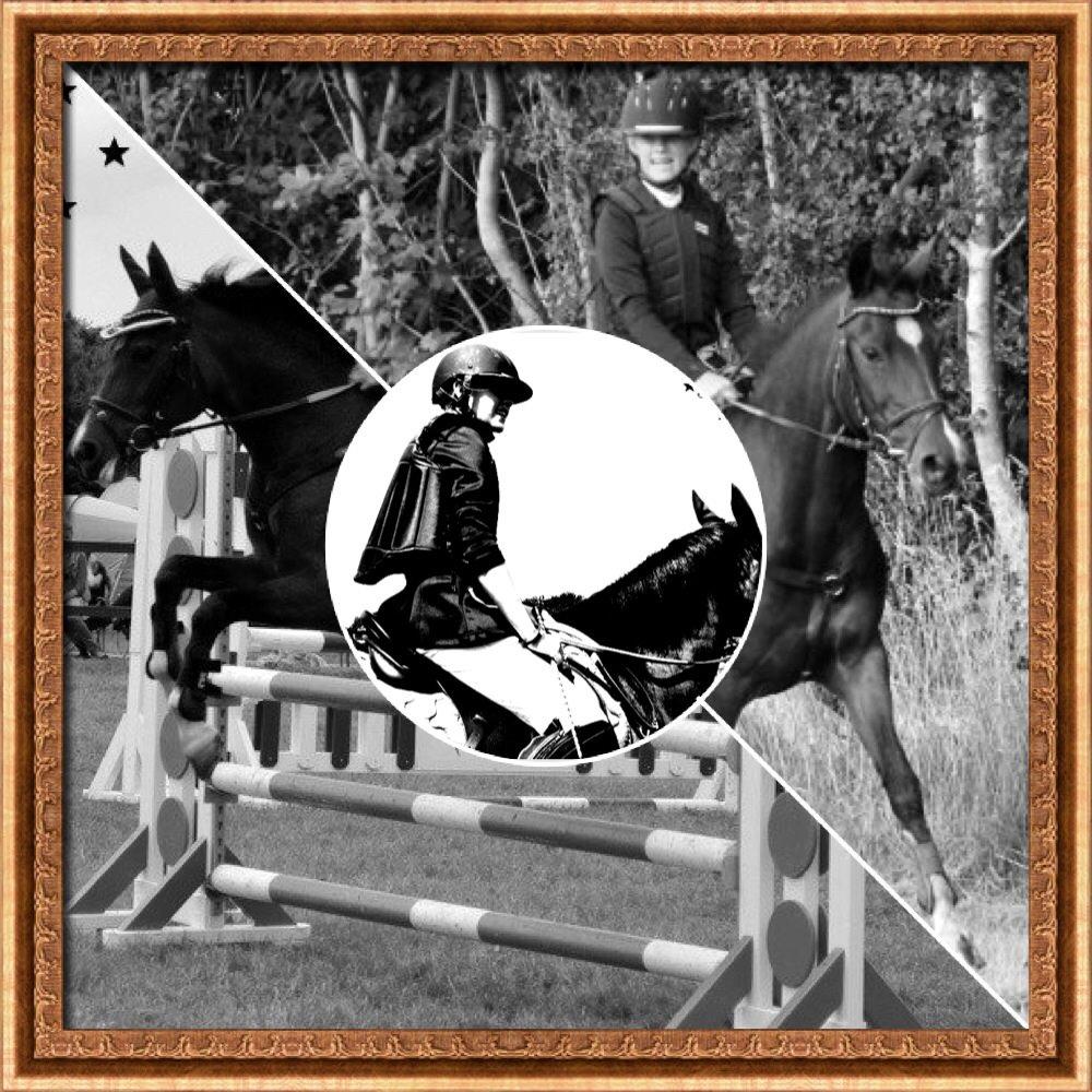 New Forest nicky billede 15