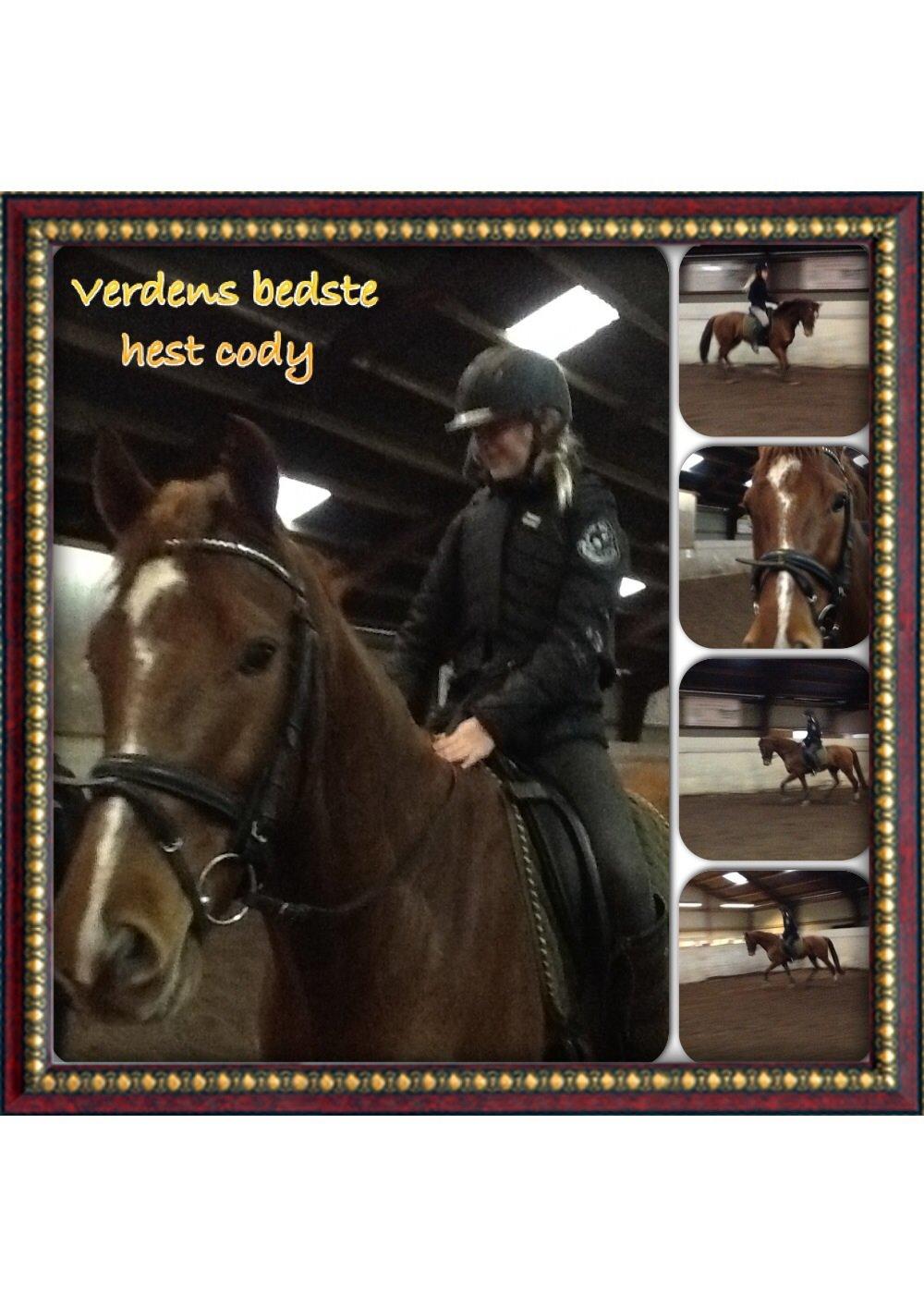 Holstener cody billede 7