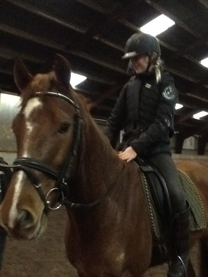 Holstener cody billede 8