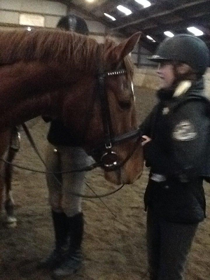 Holstener cody billede 9