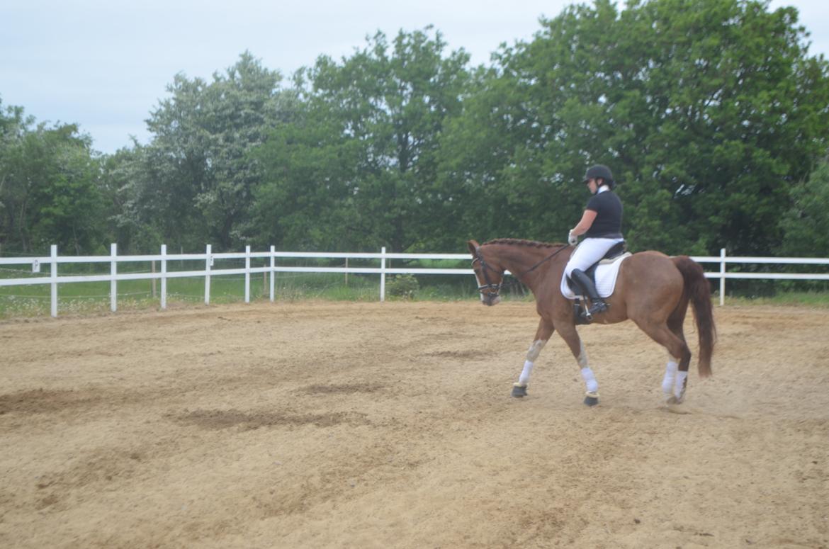 Anden særlig race Mickey billede 9