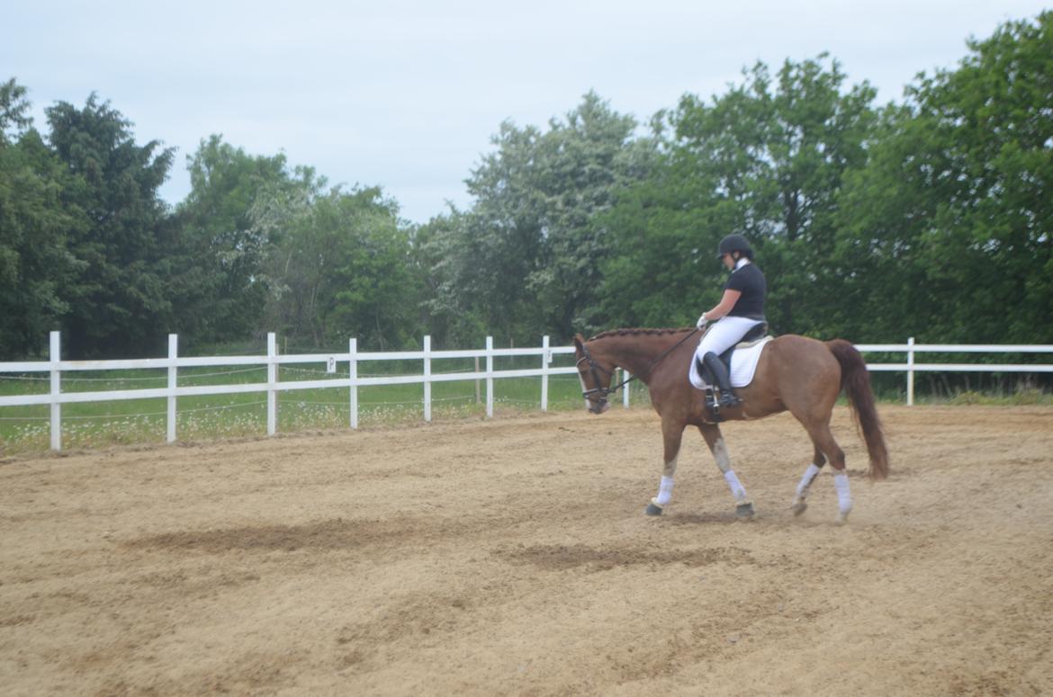 Anden særlig race Mickey billede 10