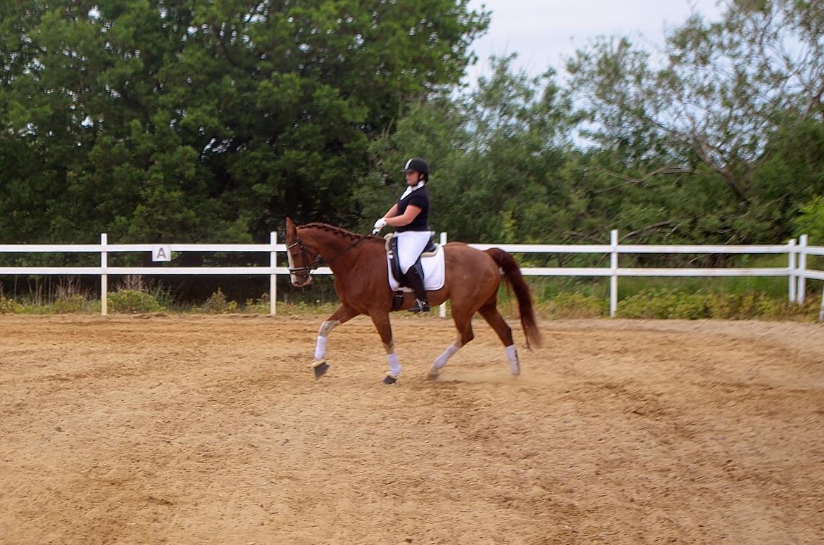 Anden særlig race Mickey billede 11