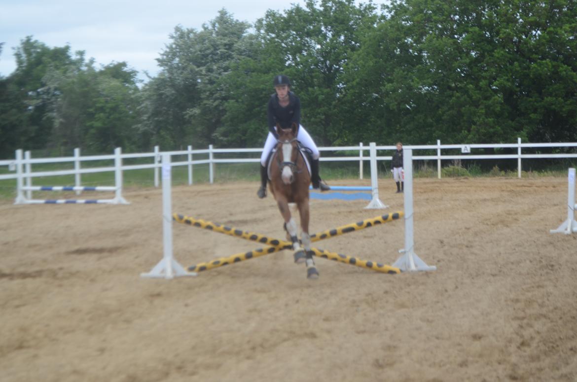 Anden særlig race Mickey billede 15