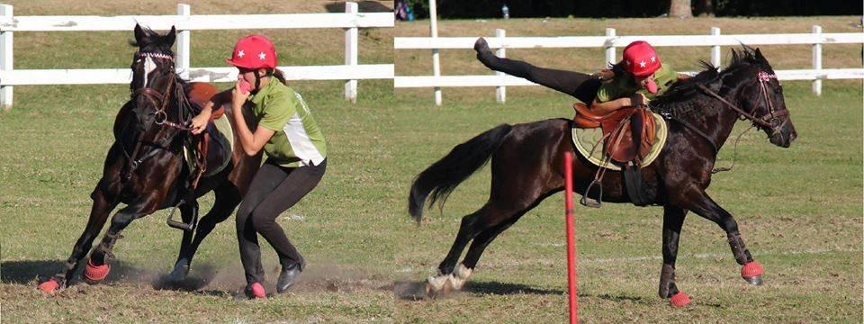Hollandsk Sportspony Jimmy - VM 2013 billede 16