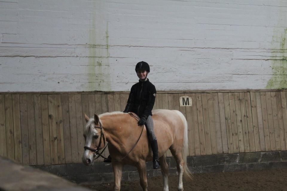 Palomino Fortunens Logo - Den bedste uden saddel. <3 billede 15