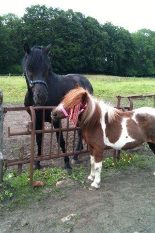 New Forest Gay Count Zidan - let par dage efter han kom- alder er bare et tal(nyforelsket i Tulle, som er 23+) billede 13