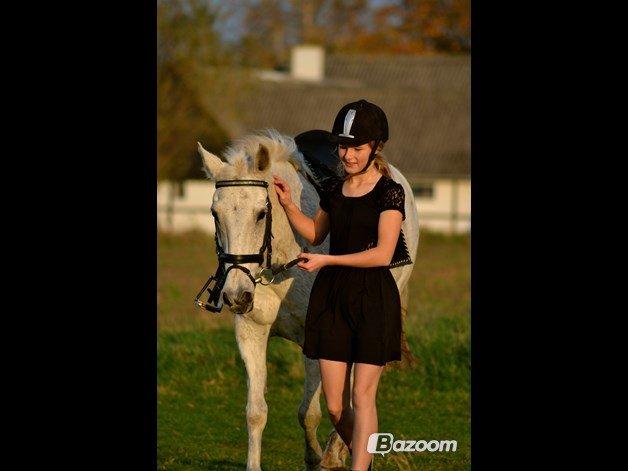 Anden særlig race Mon Cherie (Himmelhest) billede 18