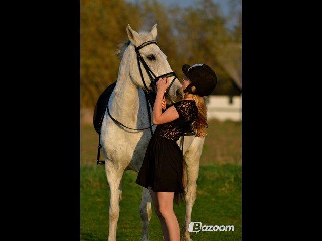 Anden særlig race Mon Cherie (Himmelhest) billede 16