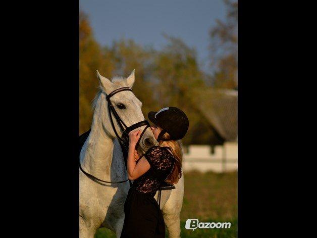 Anden særlig race Mon Cherie (Himmelhest) billede 25