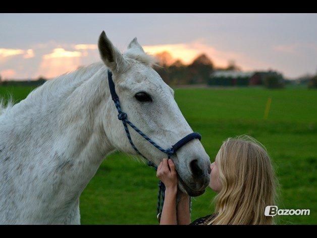 Anden særlig race Mon Cherie (Himmelhest) - Min kærlighed til dig kan ikke beskrives, pony!<3 billede 13