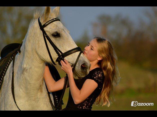 Anden særlig race Mon Cherie (Himmelhest) - <3 billede 21