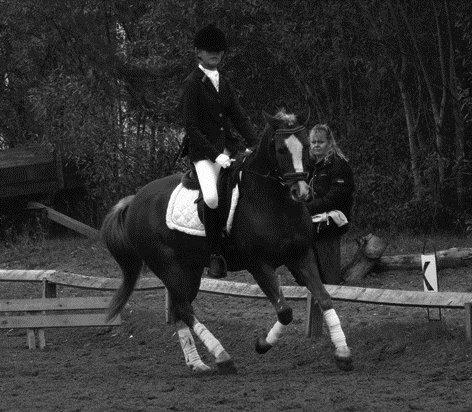 New Forest Kjølens Fanfare - LC1 -  66,2% 2. plads billede 2