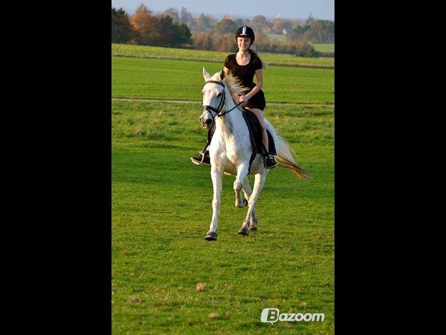 Anden særlig race Mon Cherie (Himmelhest) - Galop i kjole! :) billede 24
