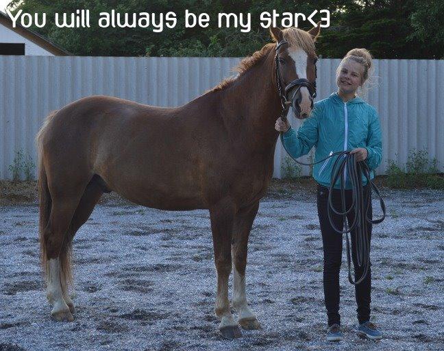 New Forest Kjølens Fanfare - You will always be my star<3 billede 3