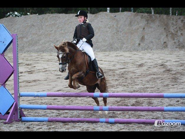 Anden særlig race Ferdinand (namse)  billede 24