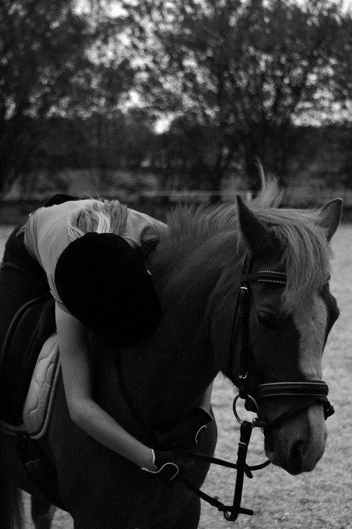 New Forest Kjølens Fanfare - The best!<3 billede 5