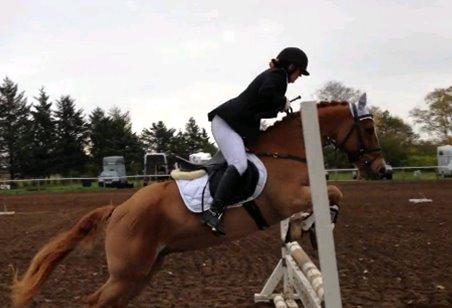 Anden særlig race Ning billede 19