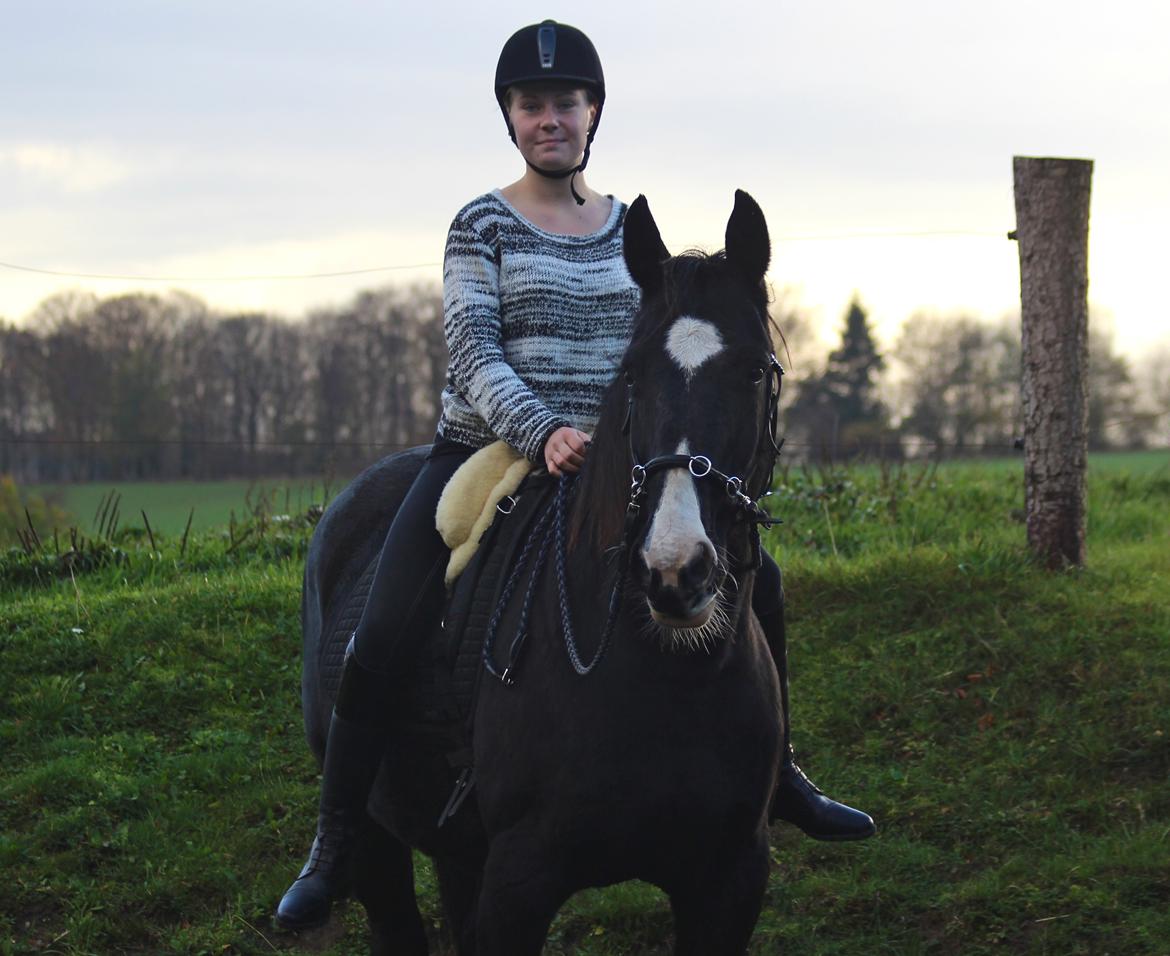 Anden særlig race Baloo <3 - Vores sidste ridetur på vores sidste dag sammen. Oktober 2013 billede 1