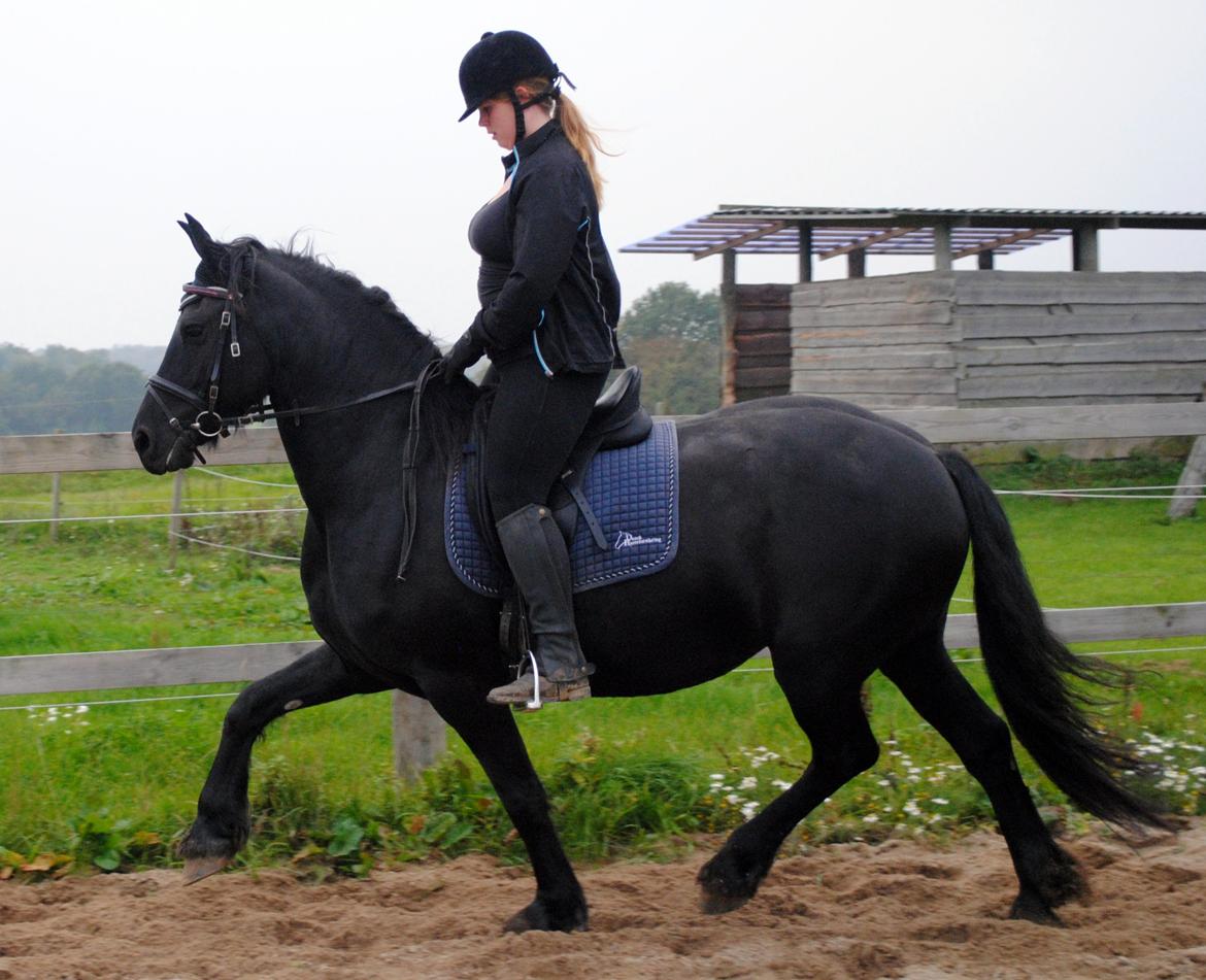 Frieser Antsje van de Martini billede 4