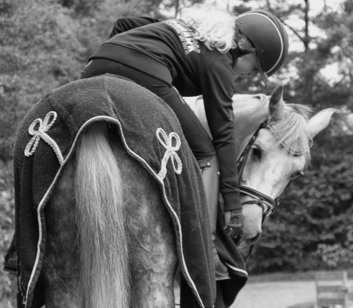 Hollandsk Sportspony Kassandra Van Klaverborch  billede 2