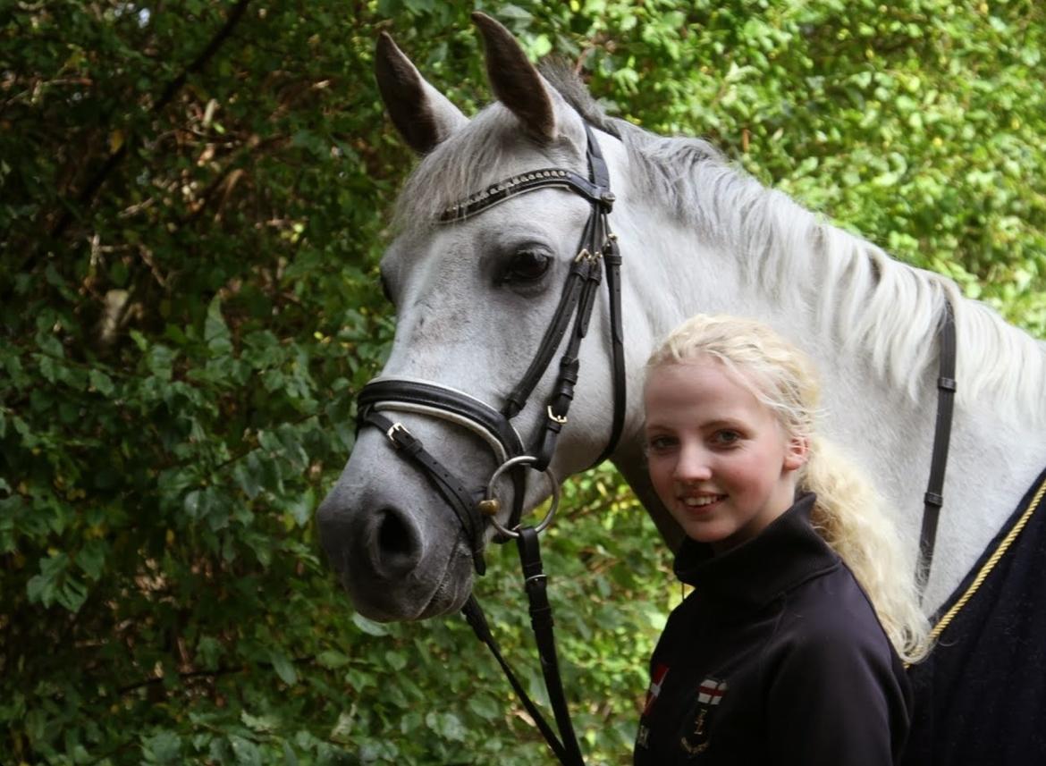 Hollandsk Sportspony Kassandra Van Klaverborch  billede 6