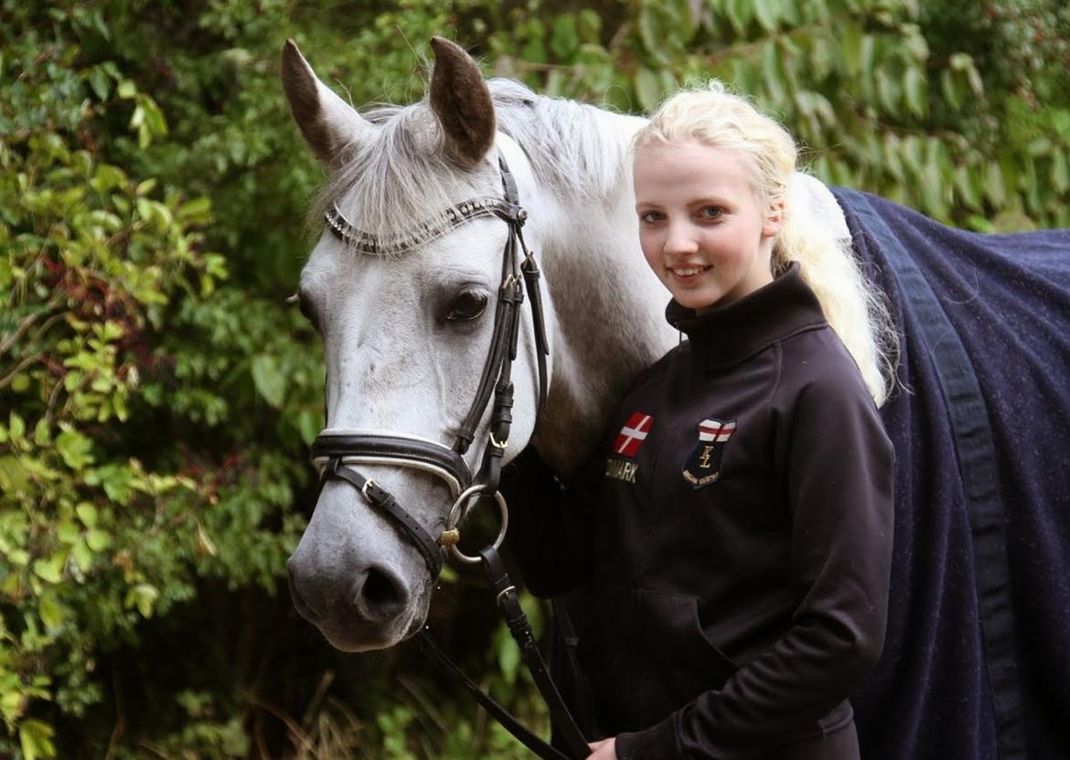 Hollandsk Sportspony Kassandra Van Klaverborch  billede 8