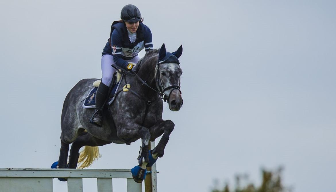 Dansk Varmblod LE-QUI'TO billede 8