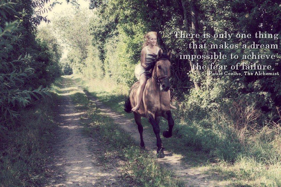 Anden særlig race RONALDO - Foto: Trond Pedersen  billede 1