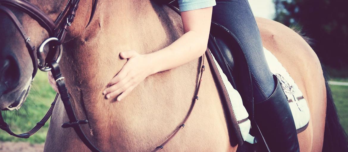 Anden særlig race RONALDO - Close up. My beloved friend. I miss you so.  billede 2