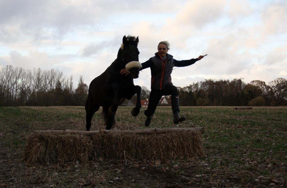 New Forest Angels Ditch Ana Rosa - Års dag med bebsen <3 30-10-13 billede 27