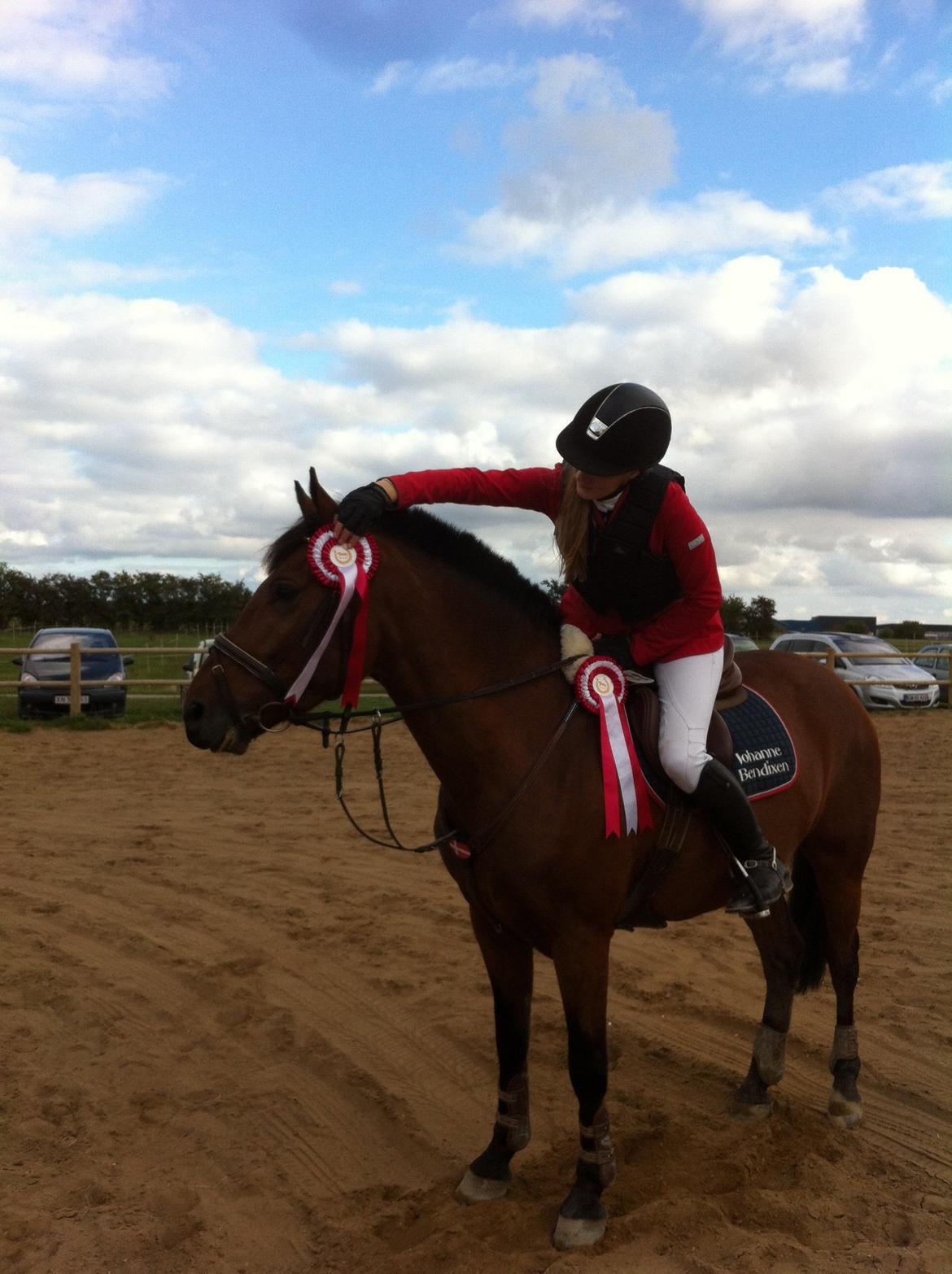 New Forest Enggårdens Conrad billede 30