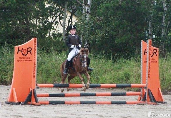 Anden særlig race Ferdinand (namse)  billede 5