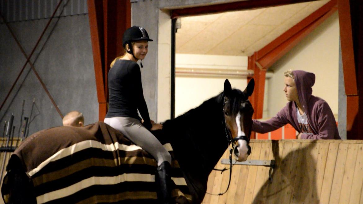 Dansk Varmblod Frydenssangs Altesse billede 9