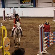 Irsk Sportspony Moonlight Maniac