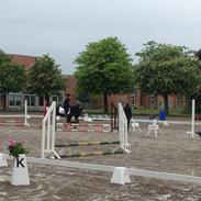 Anden særlig race Trigger