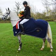 Connemara Pilgaards Nicola