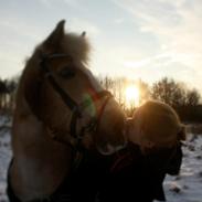 Haflinger Whisky