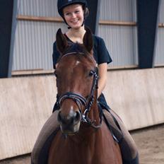 Dansk Varmblod La Belle Classica *Skrødstrup Efterskole*