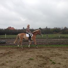 Anden særlig race Afterglow-(Dreams Come True)