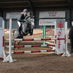 Anden særlig race Jojo (solgt)