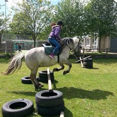 Anden særlig race Luna (har redet)
