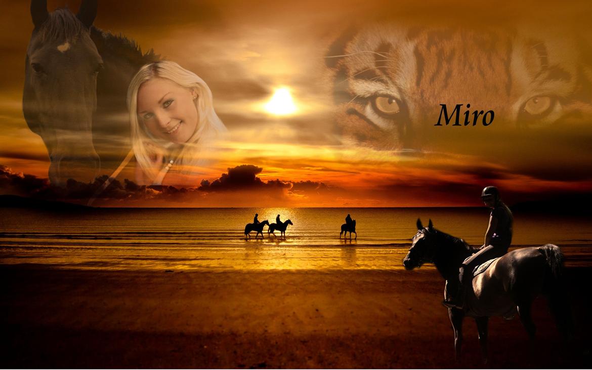 Anden særlig race Miro billede 19