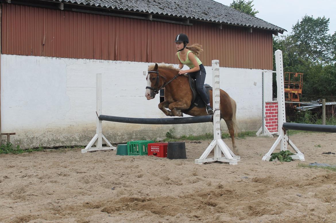 Anden særlig race mathilde - hun kan godt!<3 billede 12