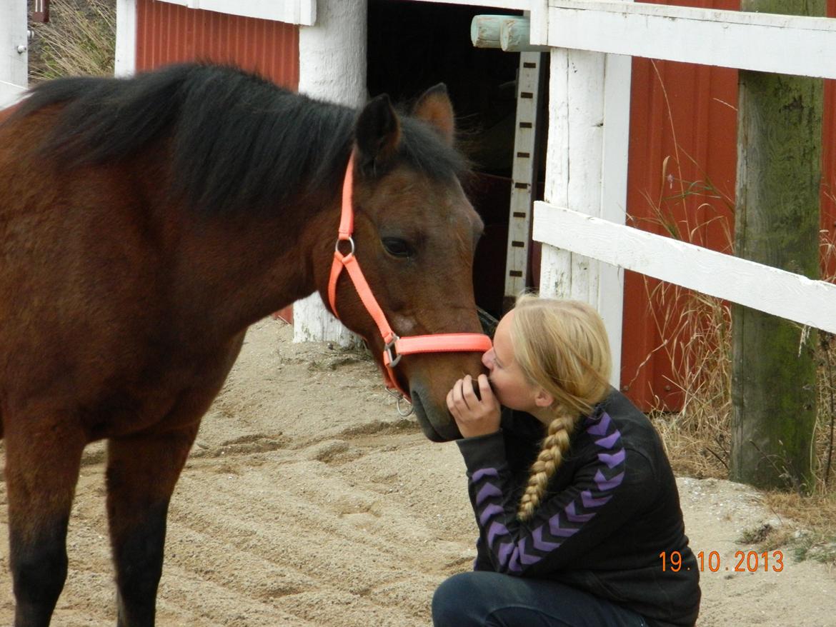 New Forest Cayenne  - Det bedste sted er ved dig <3 billede 9