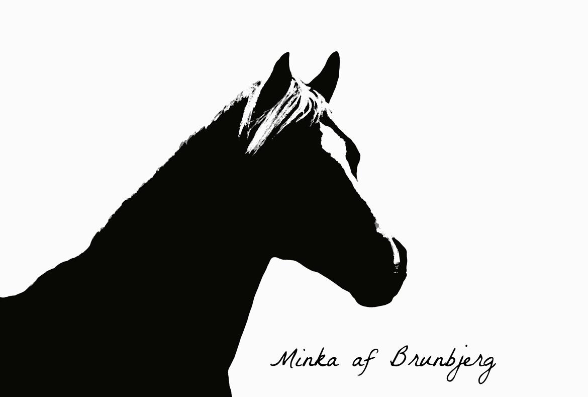 Tyroler Haflinger Minka af Brunbjerg billede 1