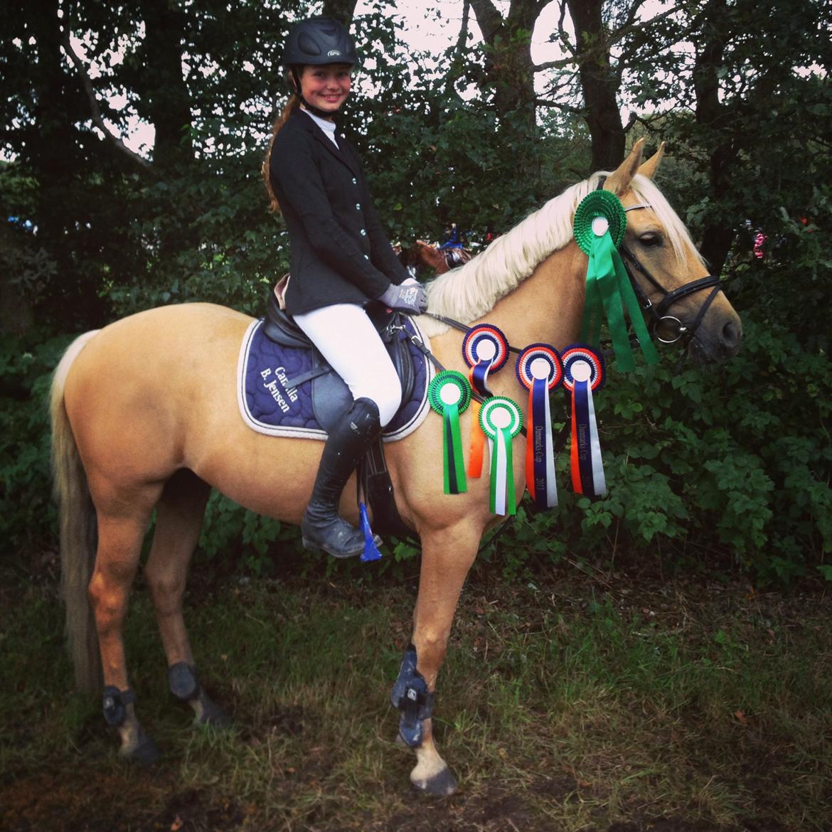 Anden særlig race Gloria (SOLGT) - Gloria fra Danmarks cup 2013 <3 5/5 nulrunder, hun er alt for sej den pony. Blev nummer 3 og 4 i to MB´er ved siden af cuppen og nummer 5 i Danmarks cup! Hun er og forbliver en stjerne<3 billede 2