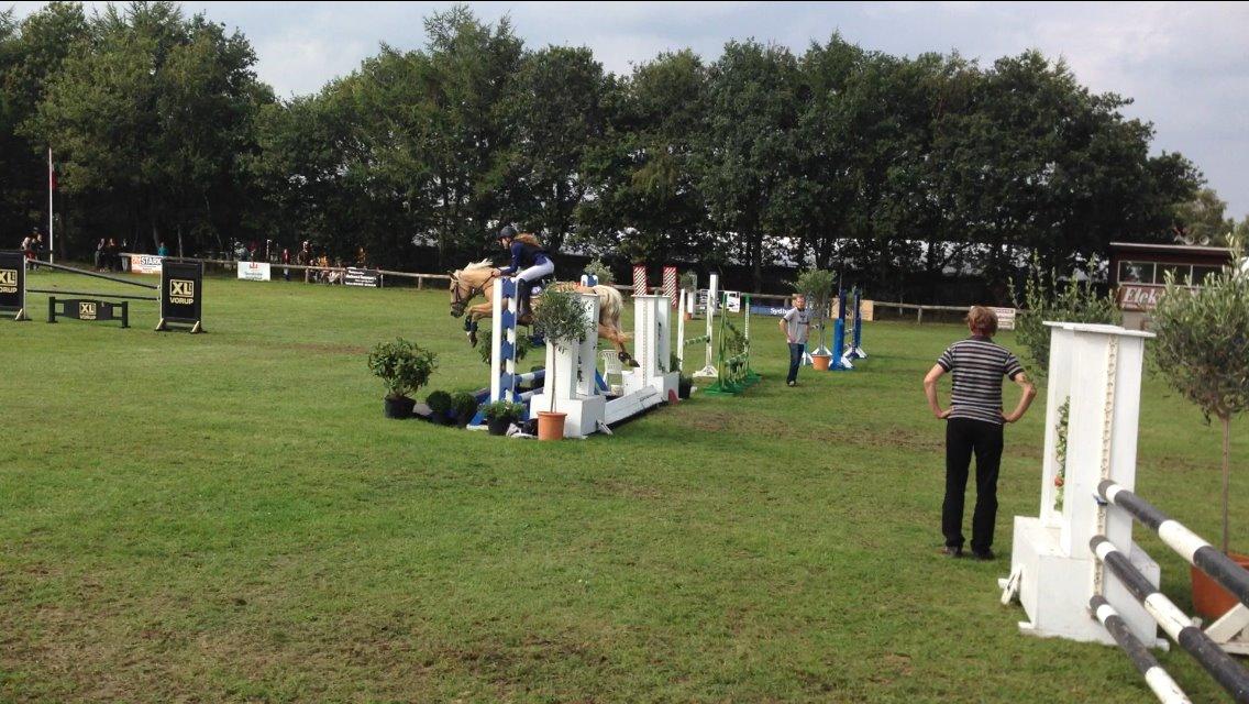 Anden særlig race Gloria (SOLGT) - Musen over vandgrav med blå vand i! Hun tog det helt uden af tøve eller kigge, kan ikke beskrive hvor glad jeg er for dig! <3 billede 6