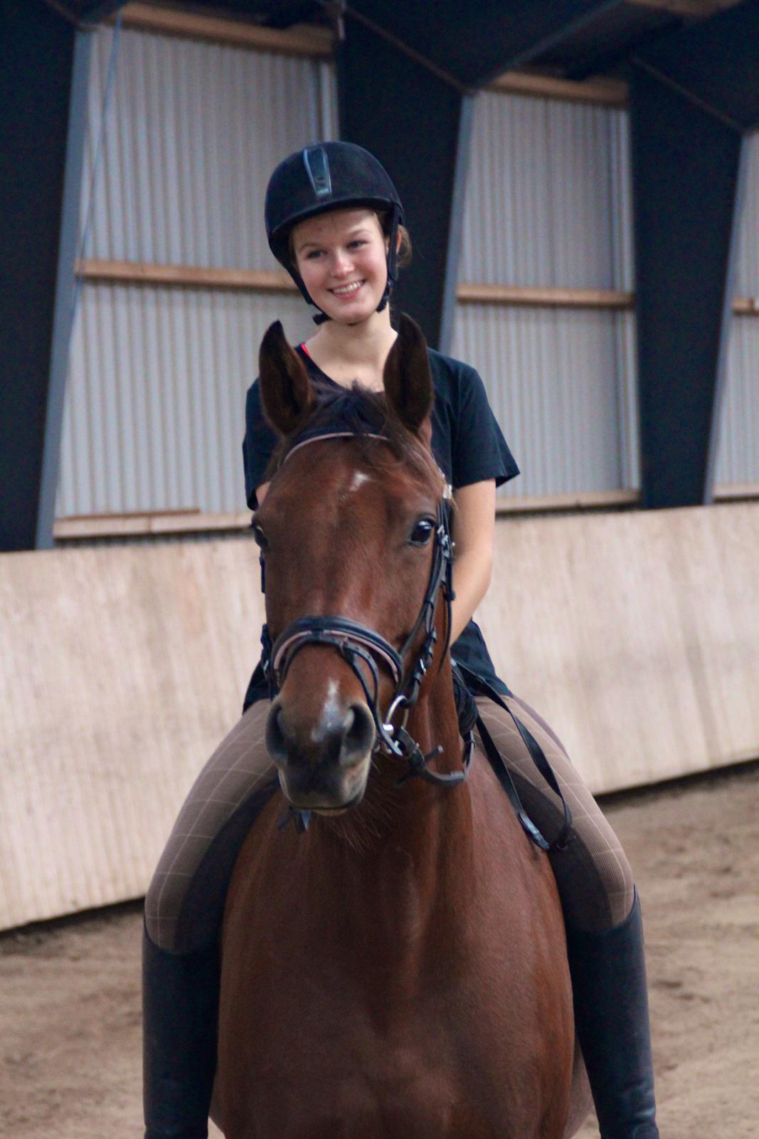 Dansk Varmblod La Belle Classica *Skrødstrup Efterskole* billede 2